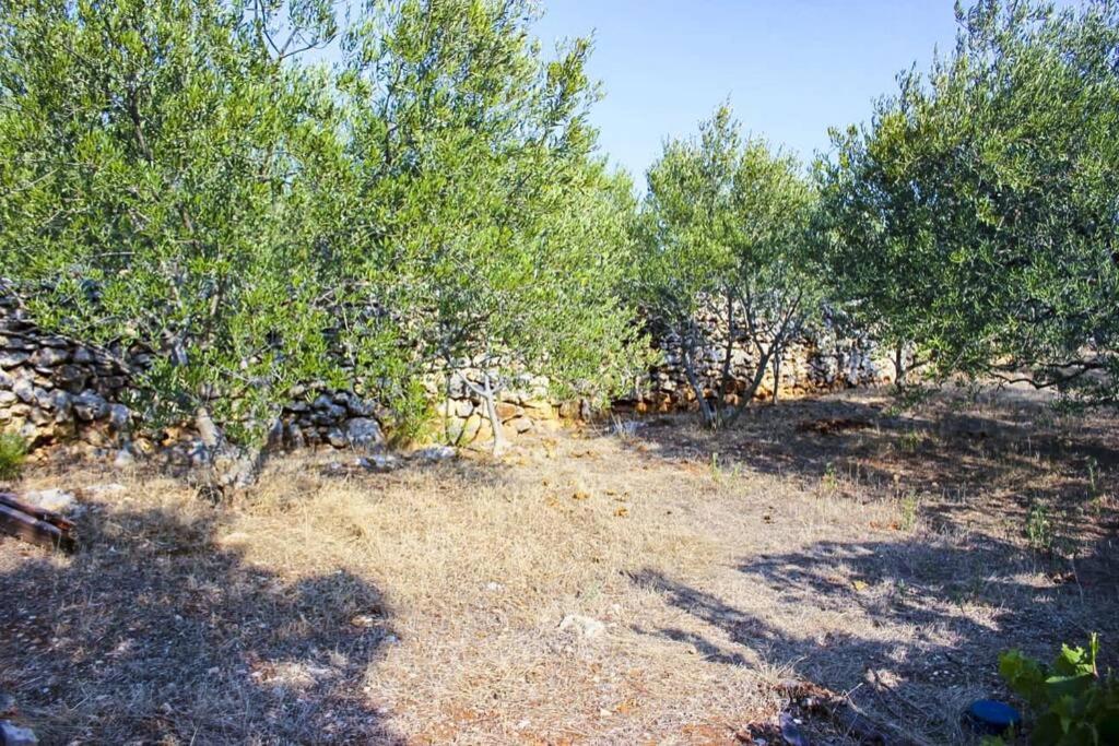 Kuca Za Odmor Obitelji Pedisic Βίλα Banj Εξωτερικό φωτογραφία